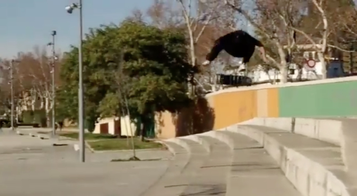 Welcome clip para Stevie Culhane x Rules Shop